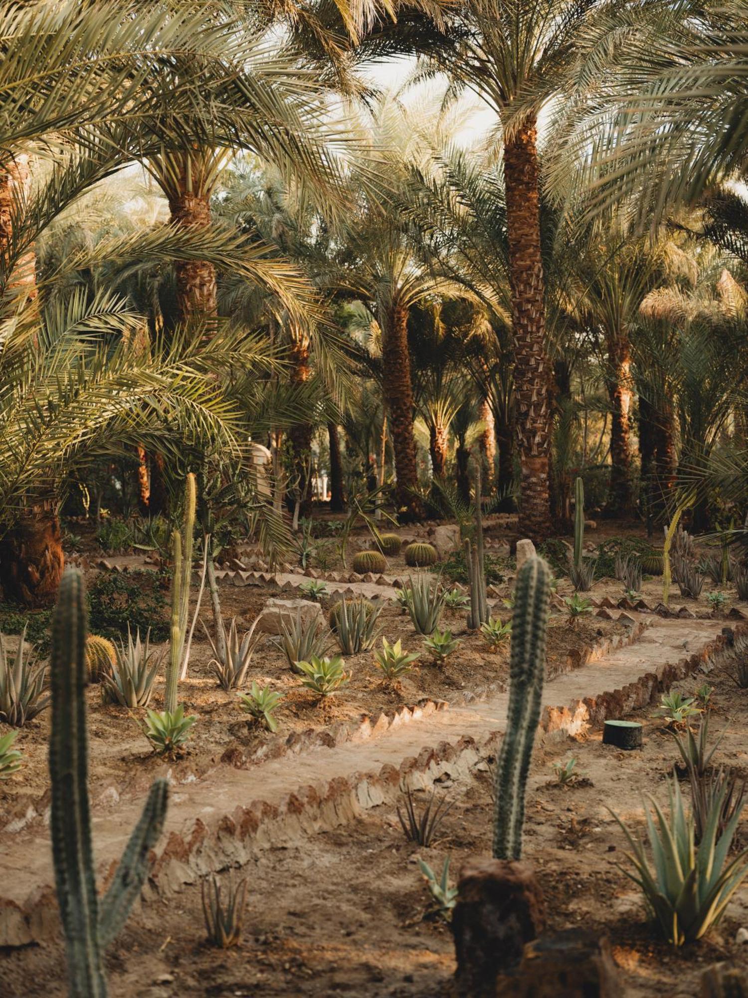 Al Moudira Hotel Luksor Exterior foto